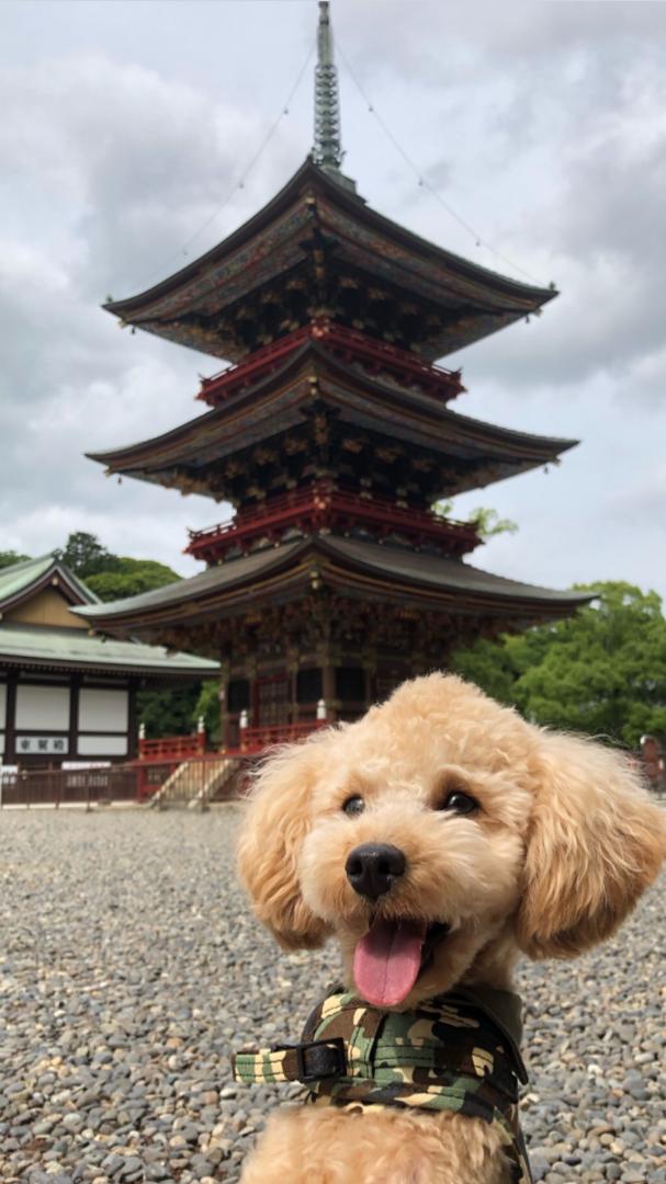 歴史のお勉強