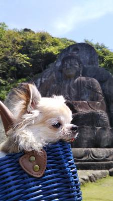 鋸山の大仏と！