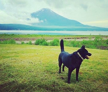 真夏の富士