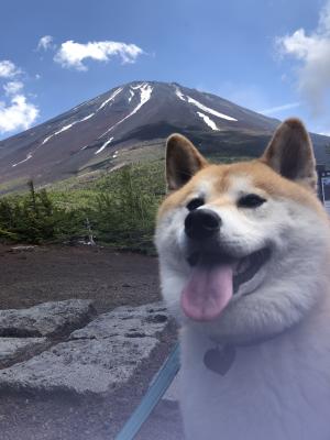 初めての富士山