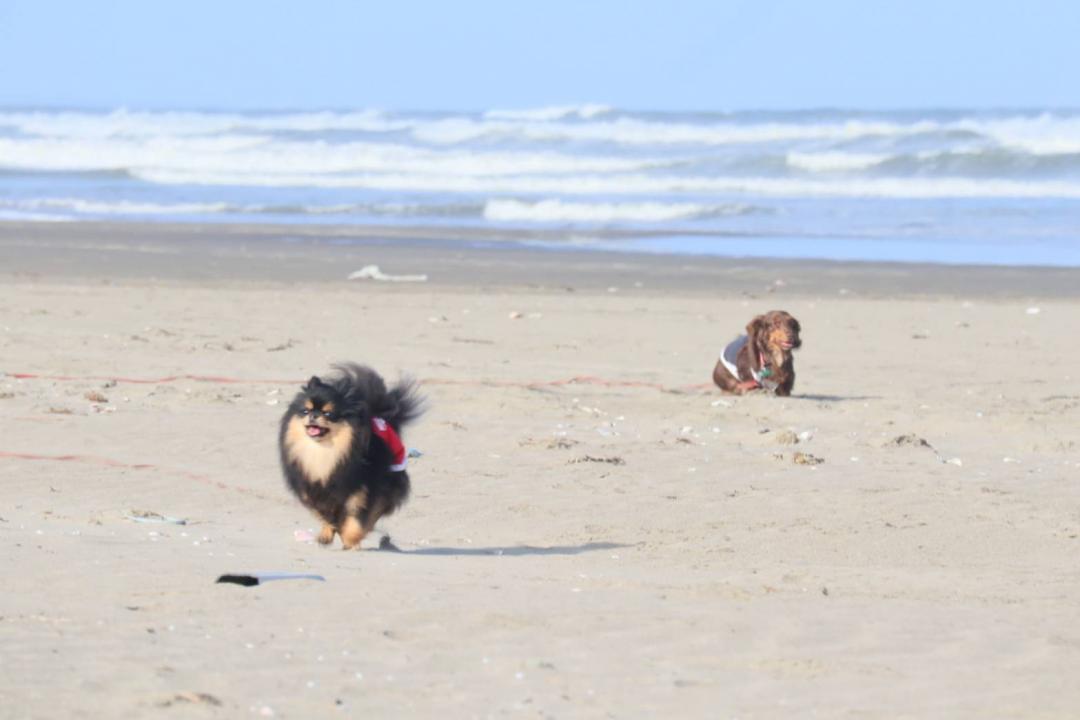 2人とも初めての海