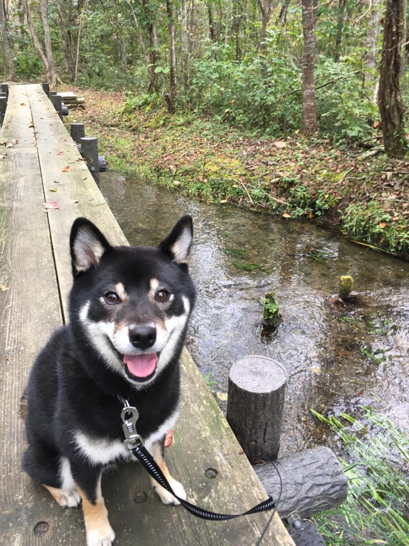 初めての公園