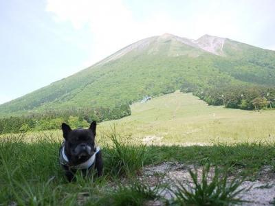 涼しい高原に