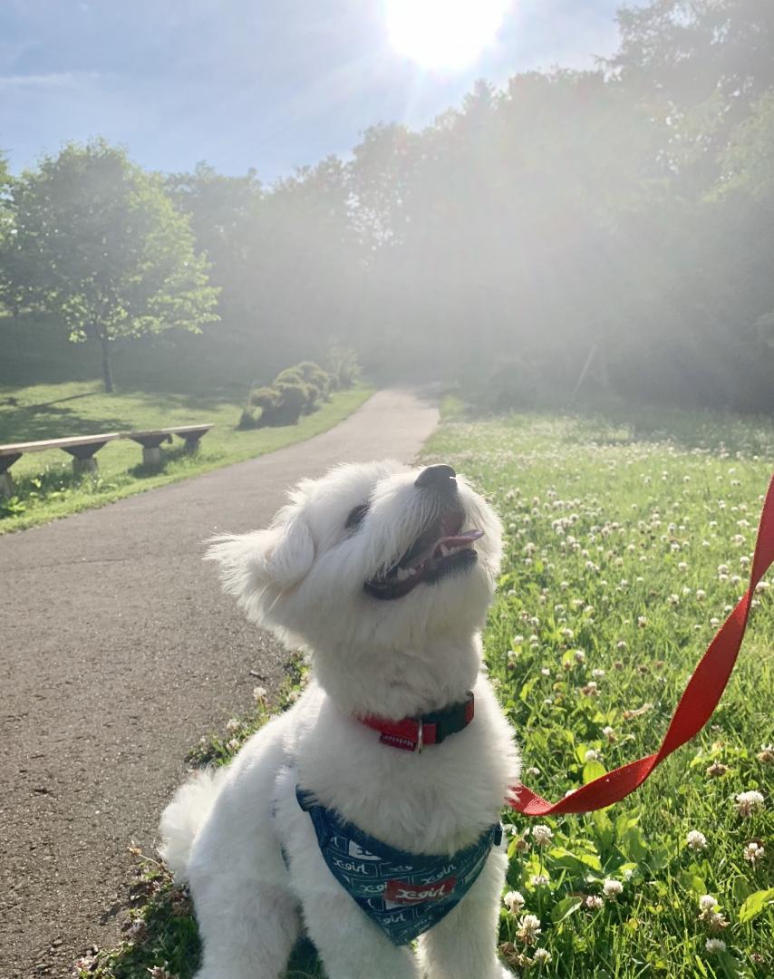 夏が来た！