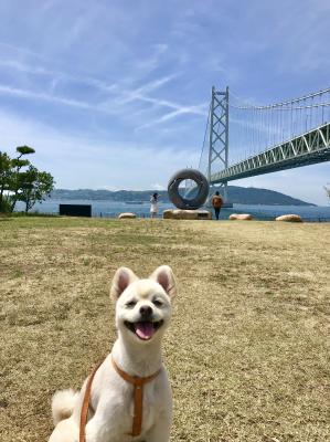 橋の袂の公園にて