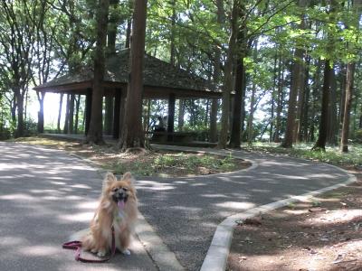 日陰の公園