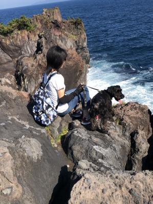 火曜サスペンスではありません❗️海は広いなぁ