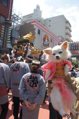 祭り