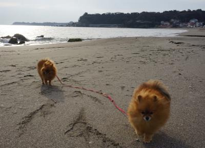 「海って心にしみる」