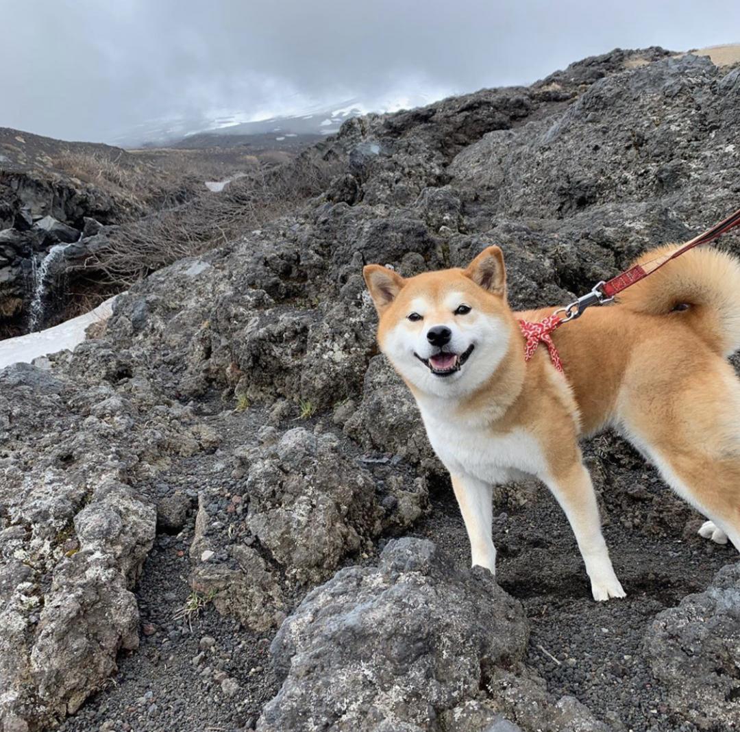 はじめての富士山