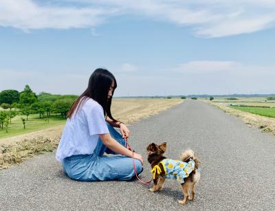 夏の朝。