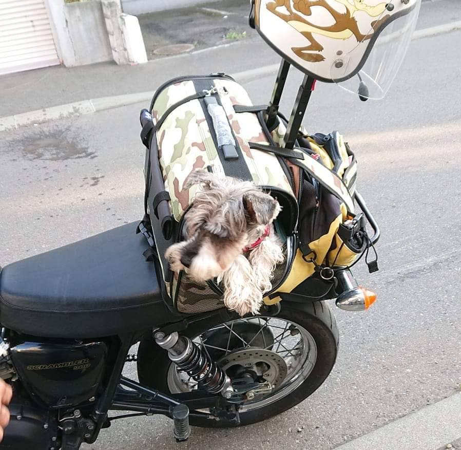 がじゅ丸　バイクツーリング