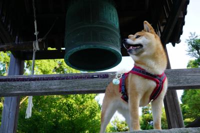 神社でパシャリ(^^)