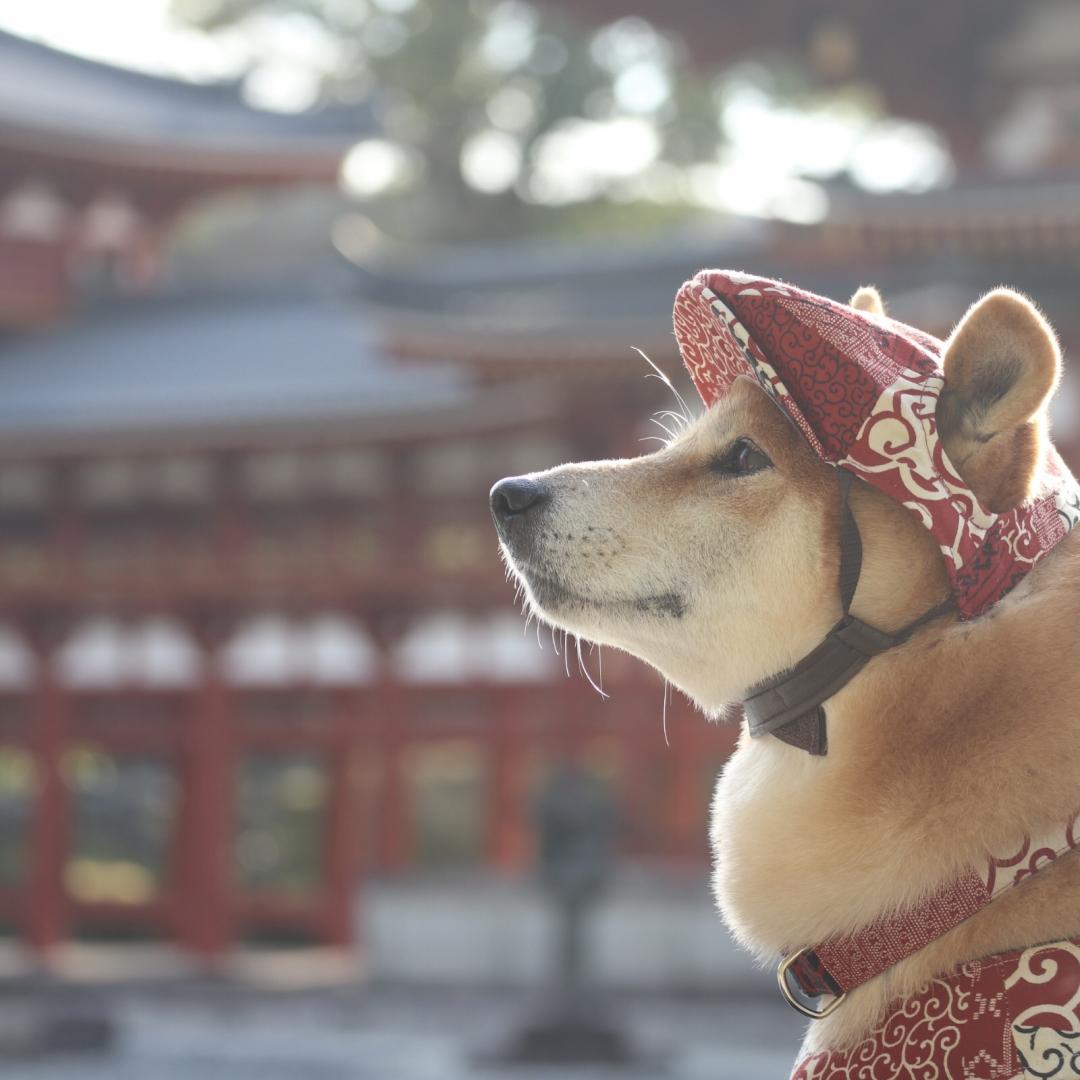 平等院にて