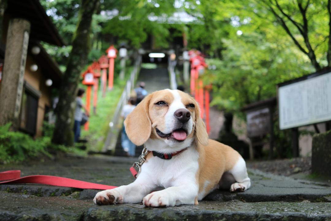 あー涼しい