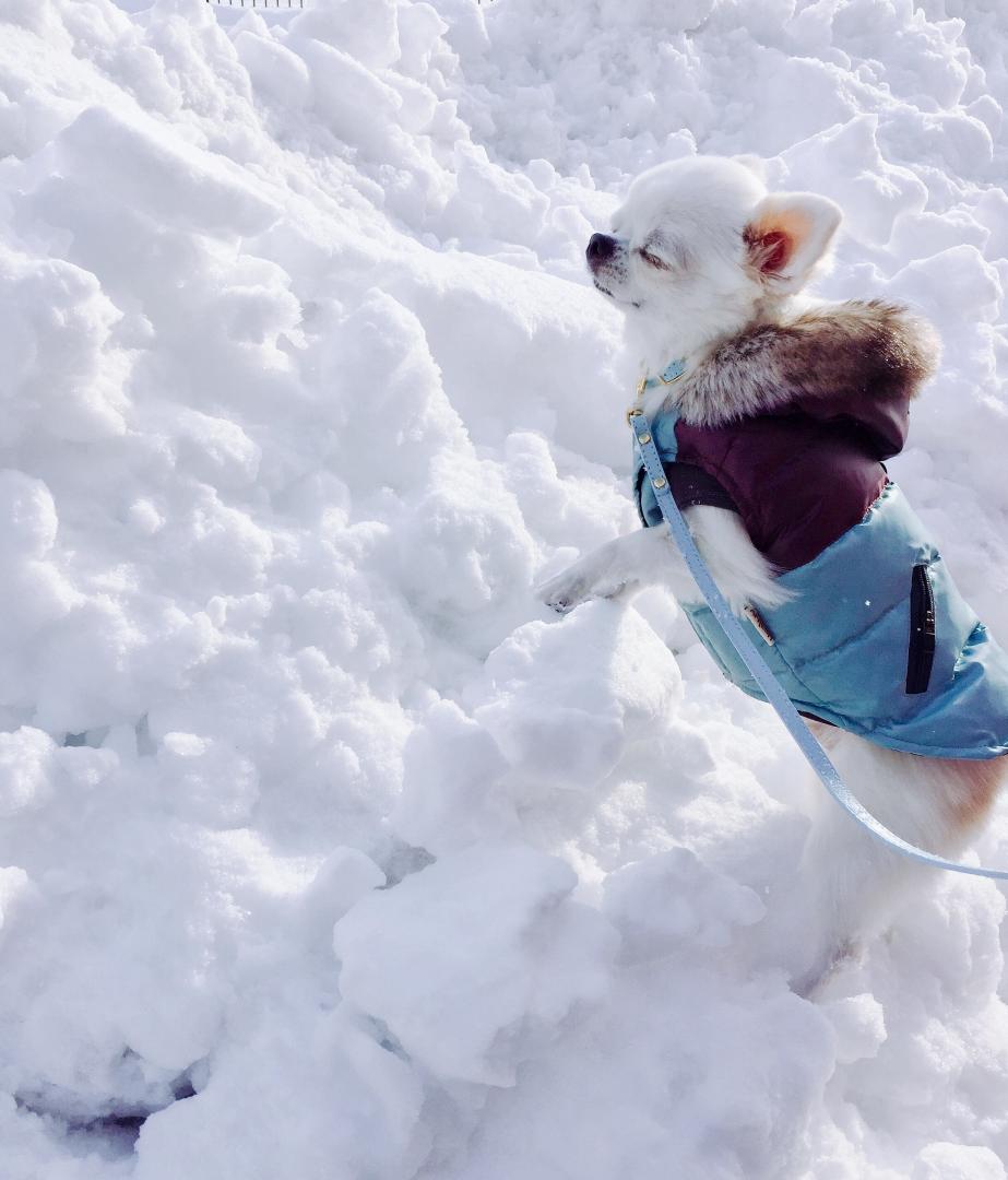 初めての雪山