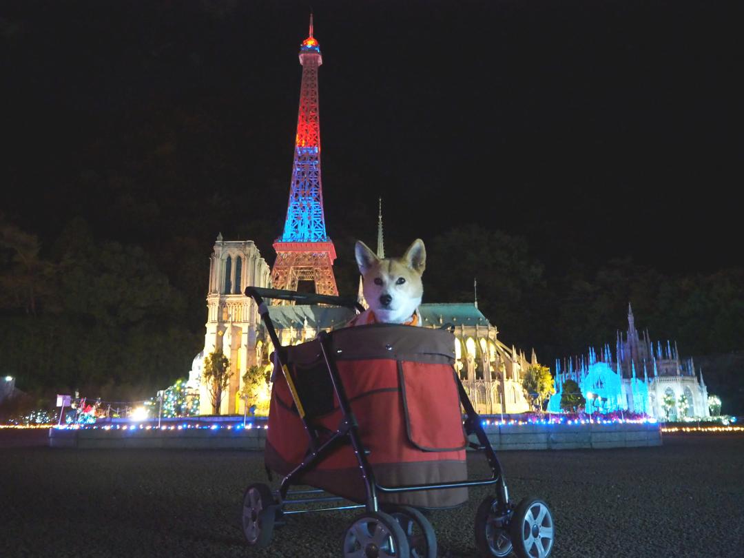 パリの夜って、、、素敵~♪