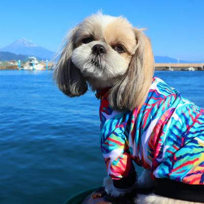 真っ青な空と冬の海