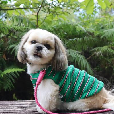 森林公園のパワースポット