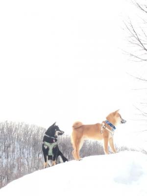 はじめての雪山