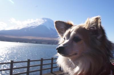 富士山と山中湖