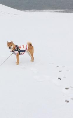 雪の砂丘