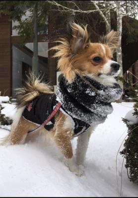 雪遊び大好き