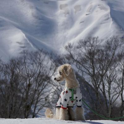 雪山と一緒に...