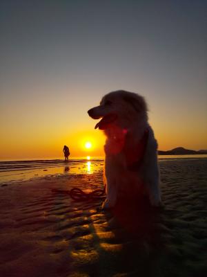 夕焼けの海辺