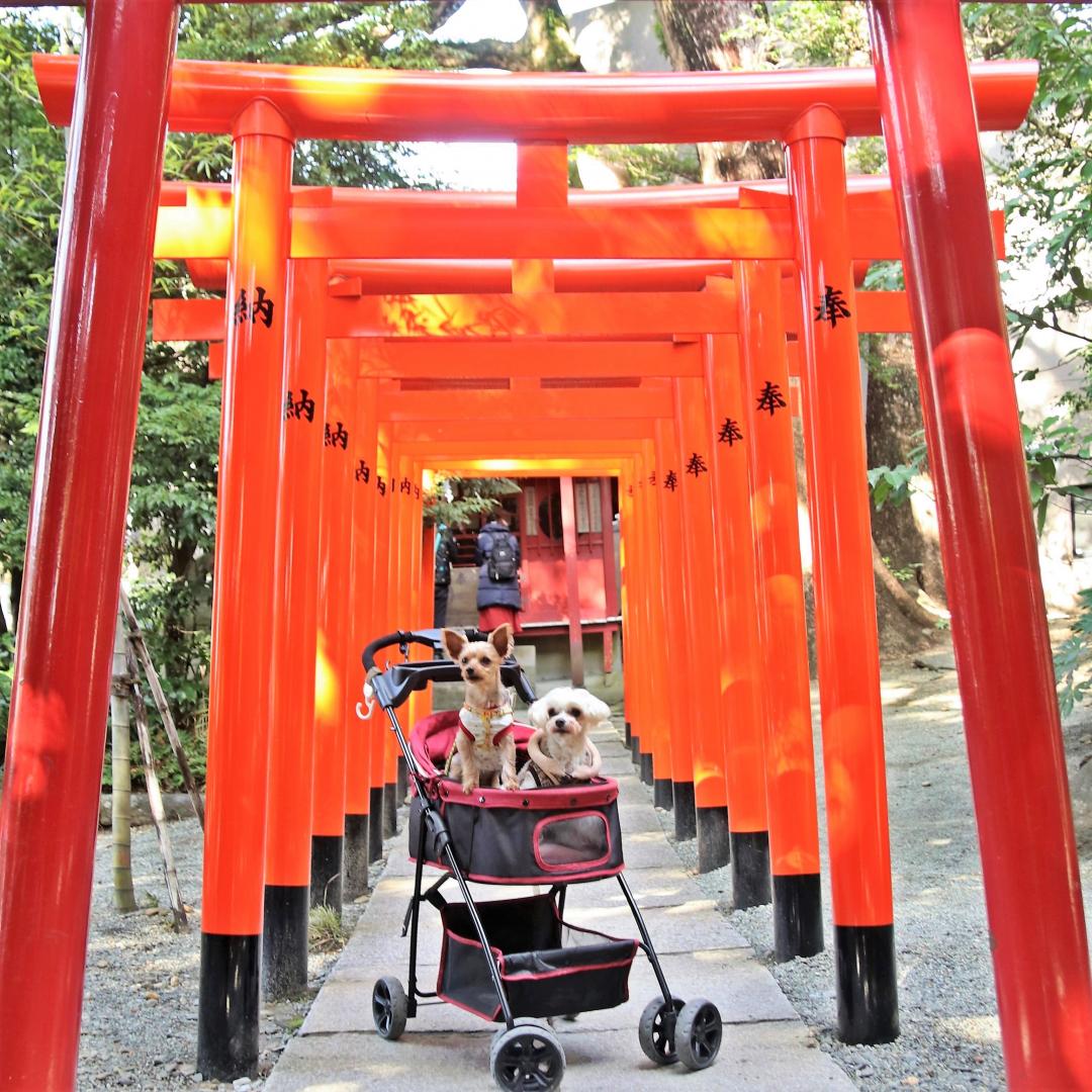 来宮神社