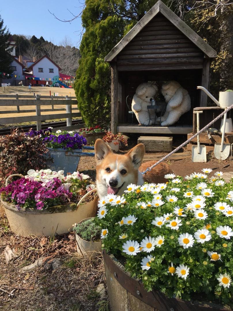 お花に囲まれのびのびにっこり☺︎