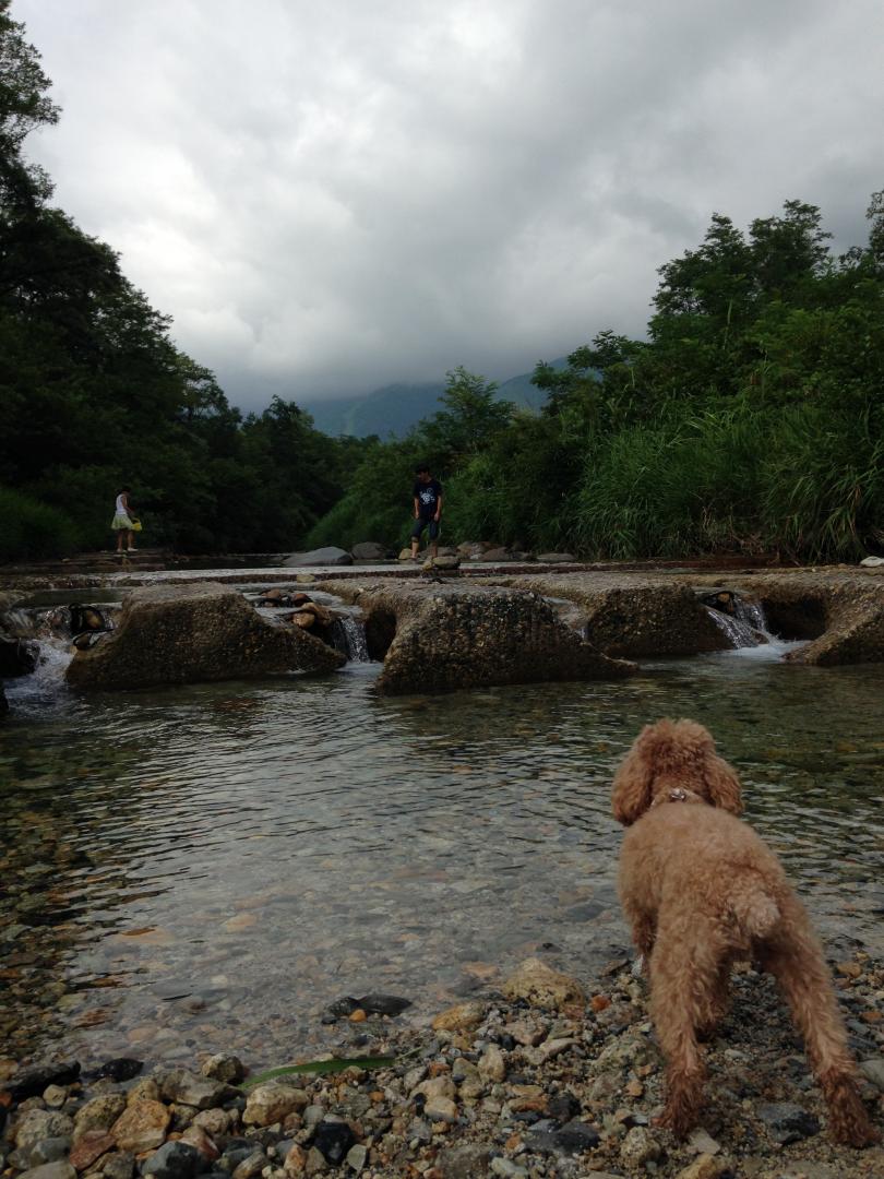 冷たかった川の水！