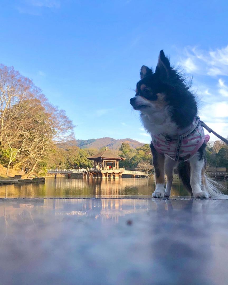 お気に入りの場所