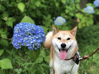 梅雨のち夏！