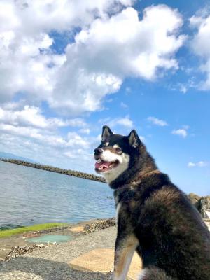 お空と海とぼくと