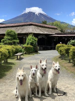 富士山とともに