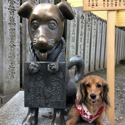 保護犬アリスちゃん 初めてのプチ旅行！