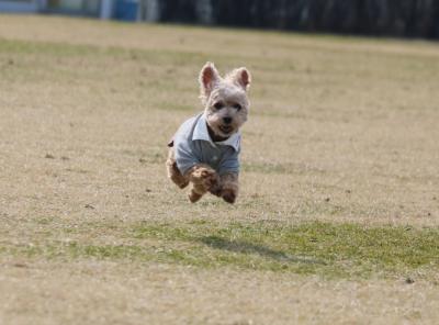 飛び立て！