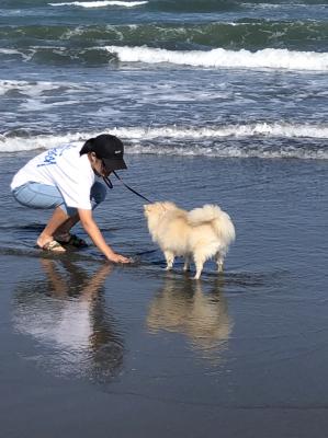 なんじゃココは！これが海か！！