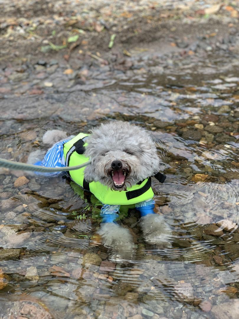 湖水浴でひとっ風呂