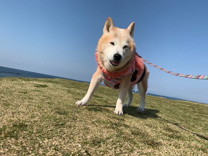 海が大好き。