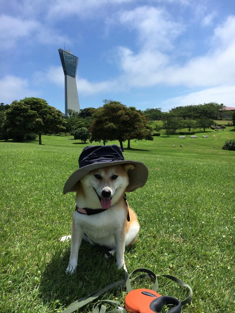 青空最高