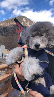 中禅寺湖の風ヤバい