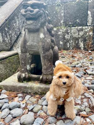 狛犬様とこまキアちゃん