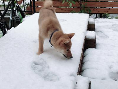 初めまして、雪さん❄️