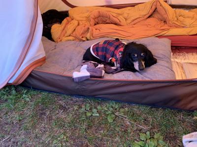 キャンプの朝は寒い