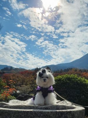 青空に魅せられて