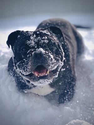 雪遊び