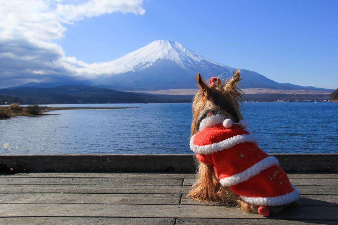 富士山 大きいなぁ