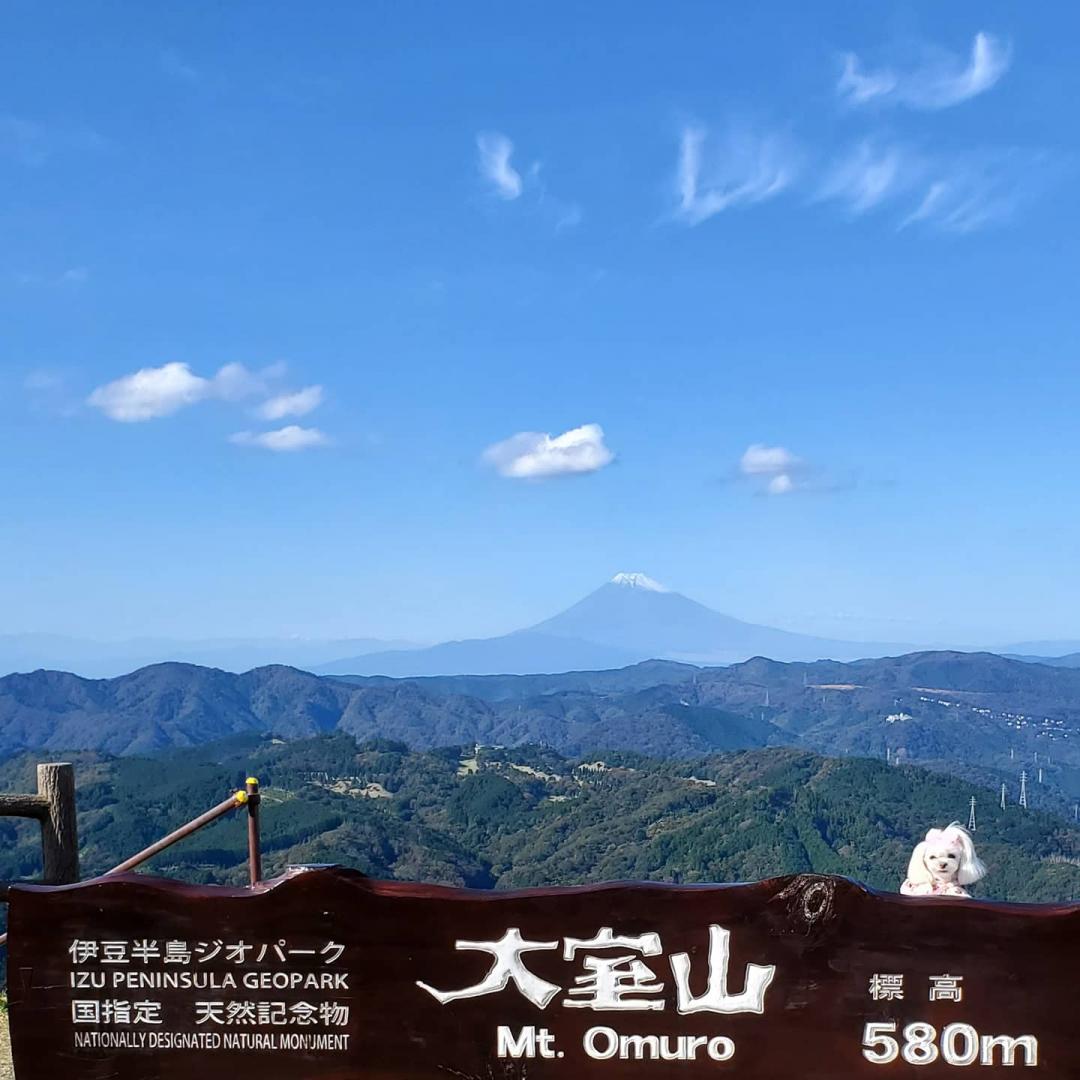 快晴☀️と富士山
